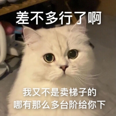 表情包