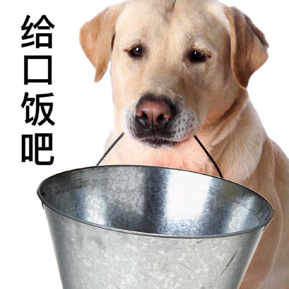 发疯要饭嗑cp表情包