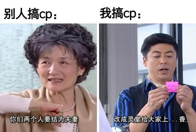 好玩的同人女meme/嗑cp表情包