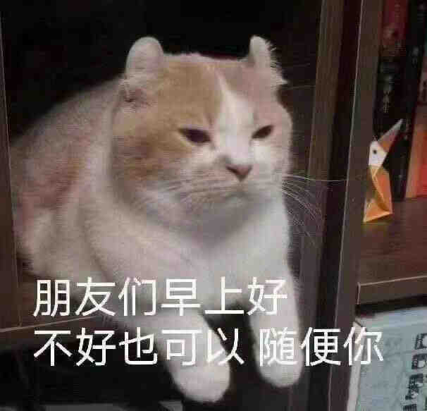 朋友们早上好，不好也可以随便你，猫猫，表情包