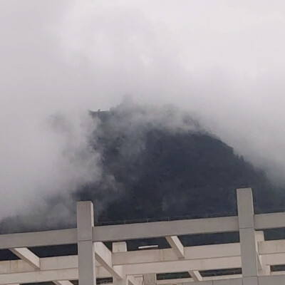 风景照