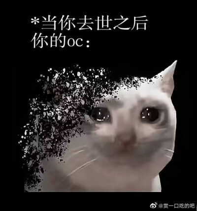 好玩的同人女meme/嗑cp表情包