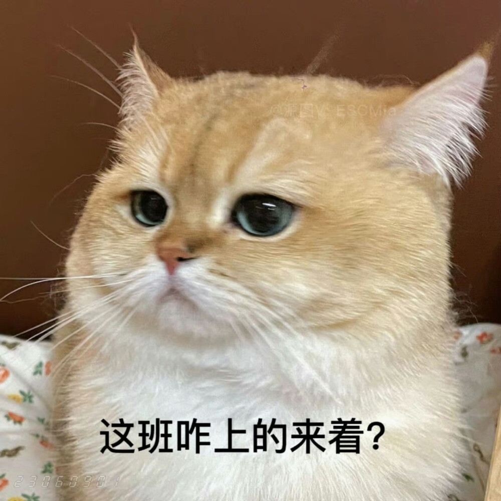 表情包