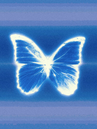 蝴蝶｜背景图