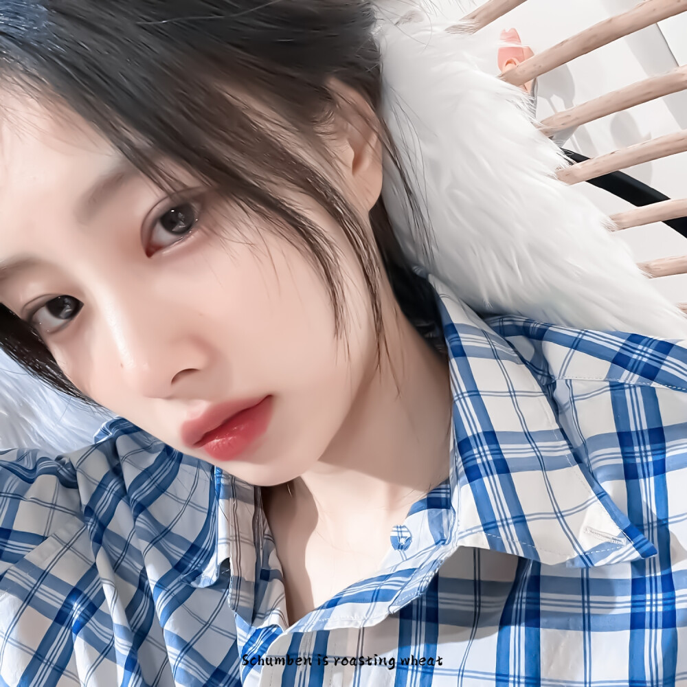 阿尔卑斯糖和冰淇淋꒰˶ฅ́˘ฅ̀˶꒱ა