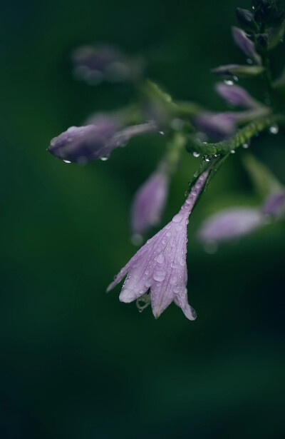 念晚，临一程山水，描一段心语，踏一梦岁月的凝香，解一裳往事琉璃。
