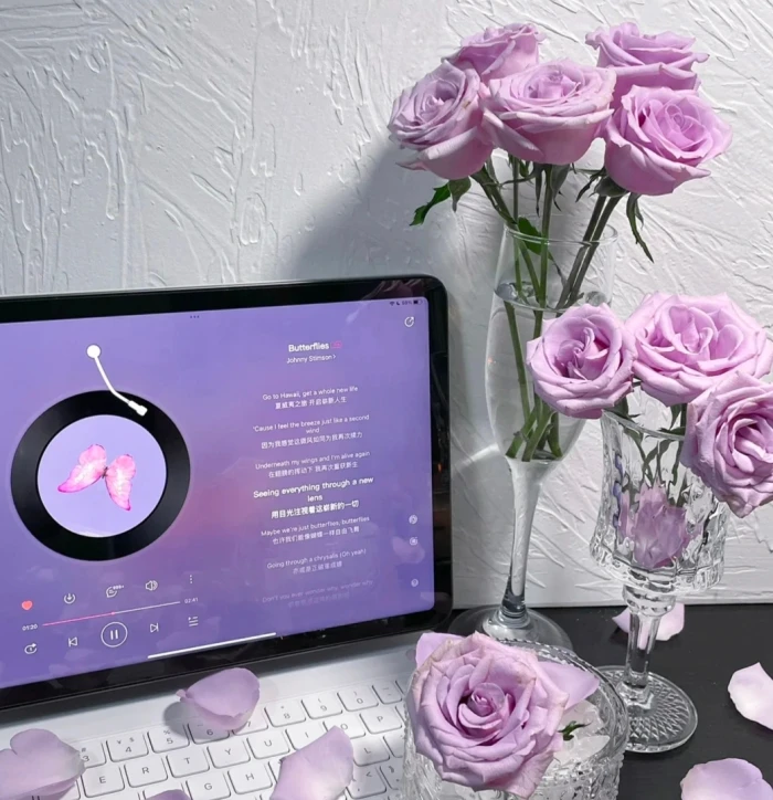 WeChat背景图 （侵删）