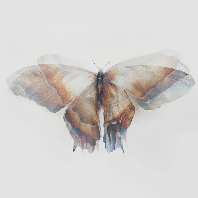 好久没更新了 奇怪的头像来了