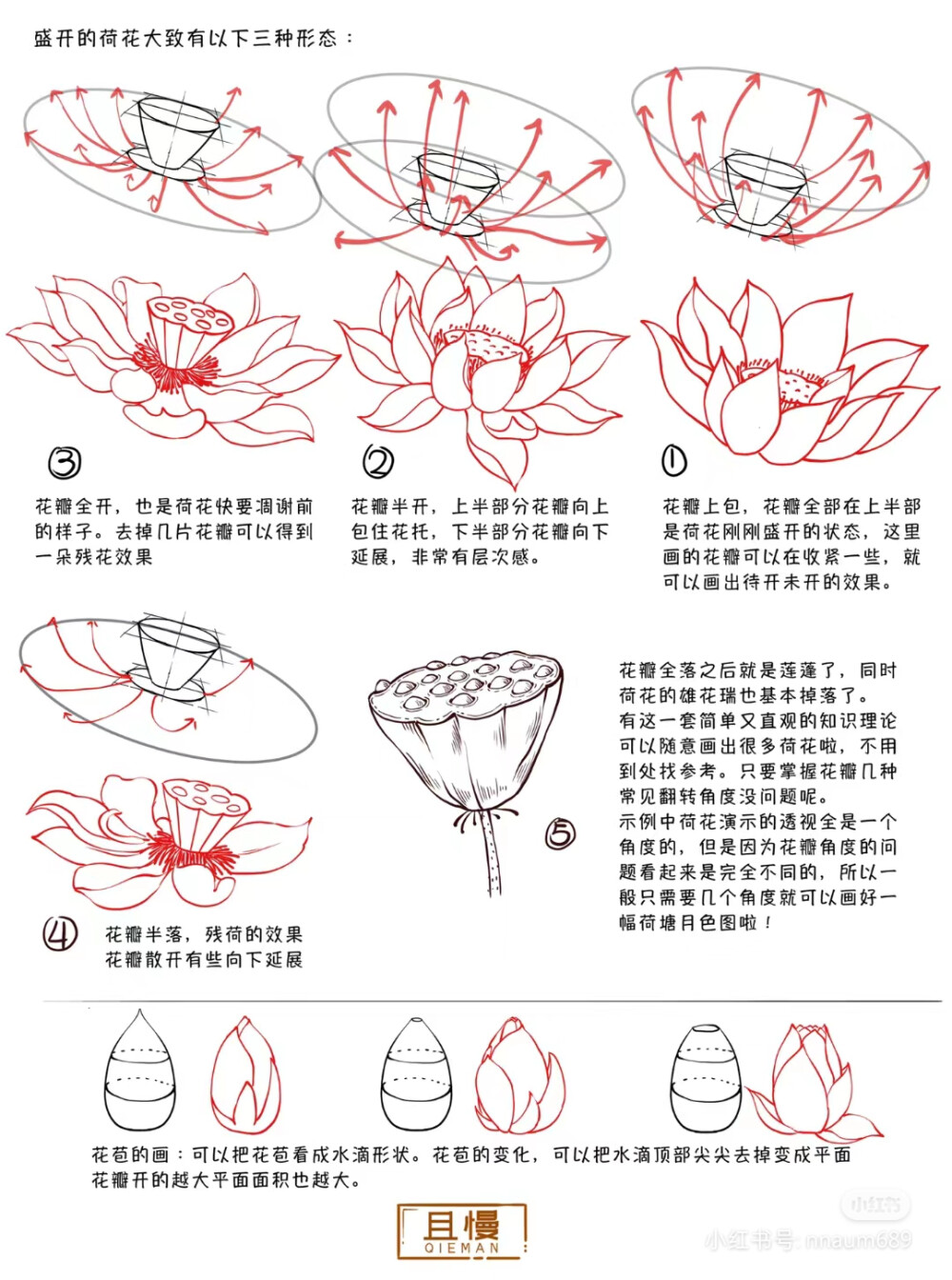 来源网络