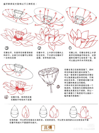 来源网络