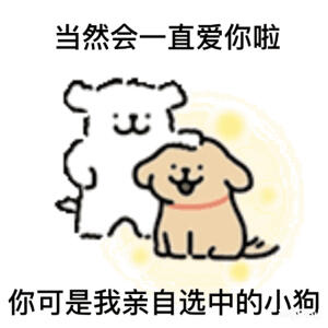 8.15线条小狗表情包分享
禁止商用