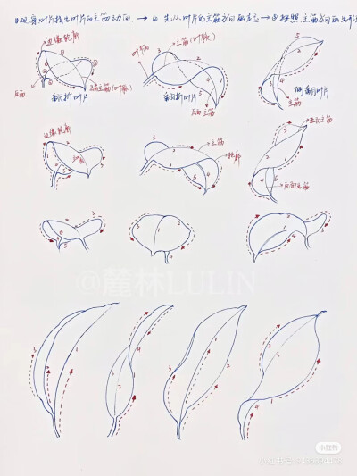 来源：麓林LULIN