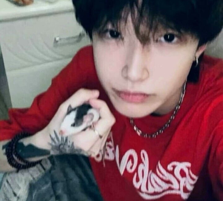 宝宝们真人男头来了