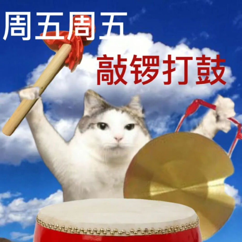 猫猫表情包
一周