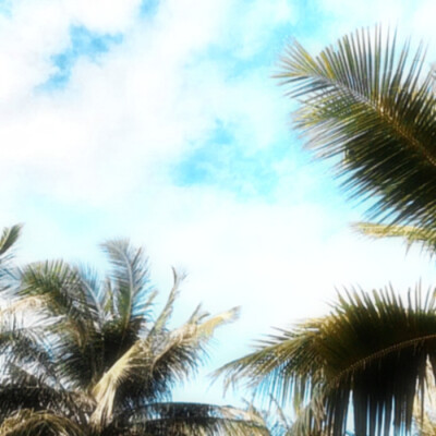 ✪ 姜涩琪｜❥ (">Δ<“Ð