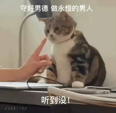 Share｜搞笑猫咪表情包
-
是谁偷走了我富二代的人生 害我还在上班