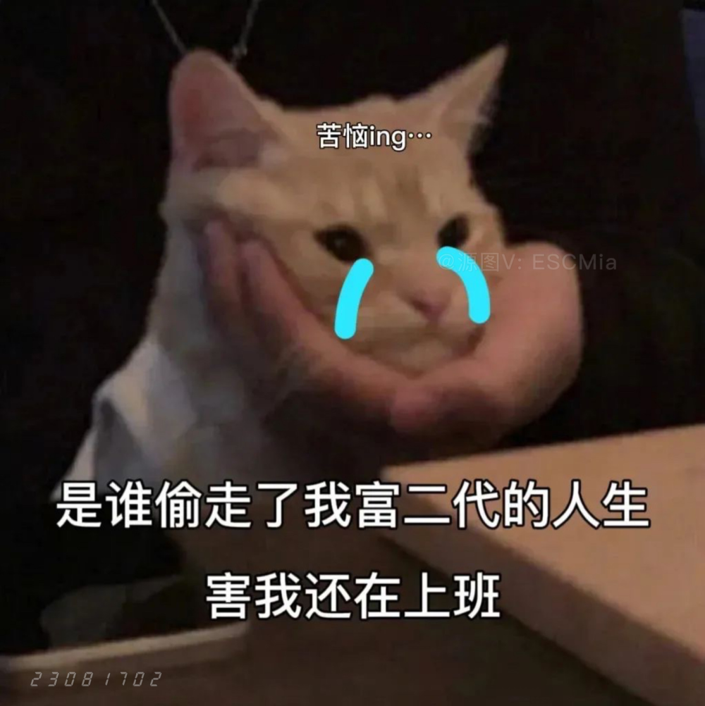 Share｜搞笑猫咪表情包
-
是谁偷走了我富二代的人生 害我还在上班