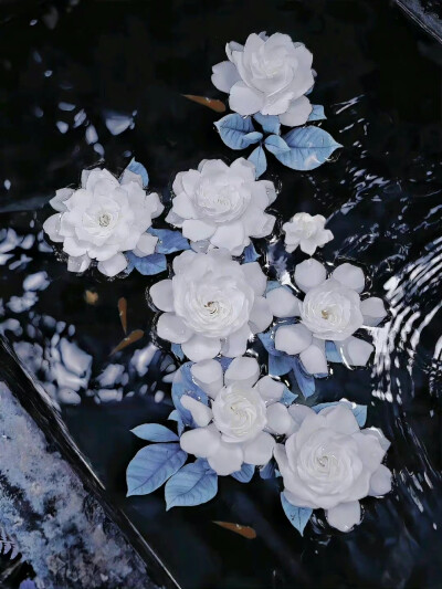 白色花朵