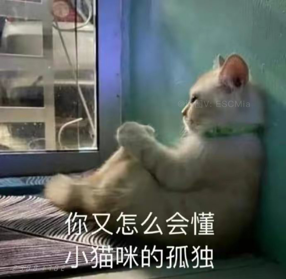 Share｜搞笑猫咪表情包
-
是谁偷走了我富二代的人生 害我还在上班