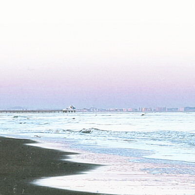 休寧凱 *海塩の波花