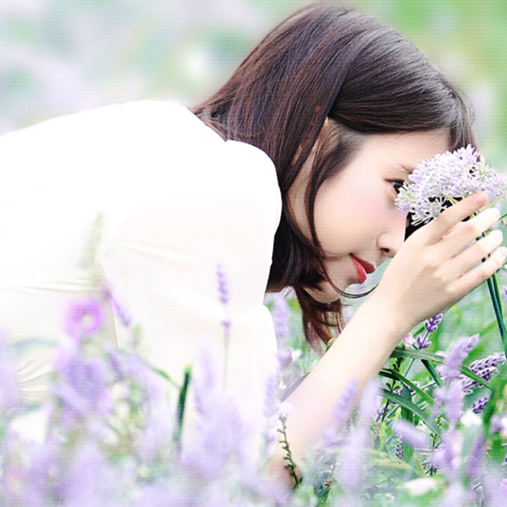 ...楊枝甘露*Un monde de couleurs◇盛夏时节