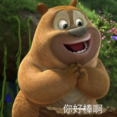 熊二表情包.