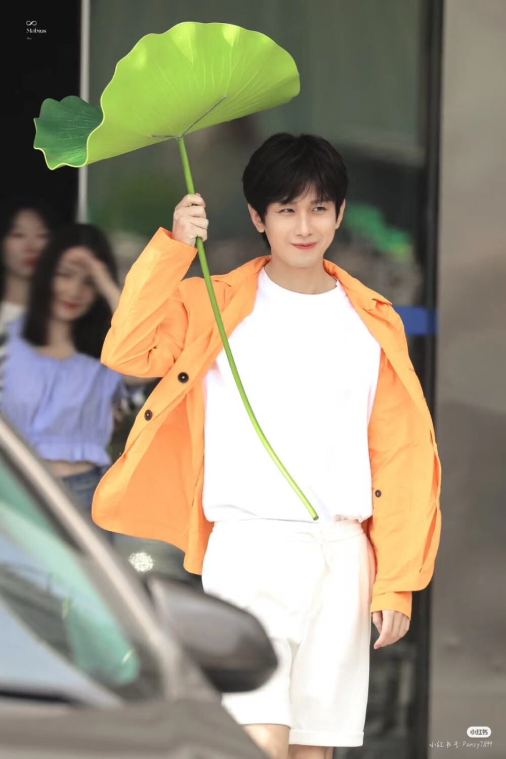 成毅