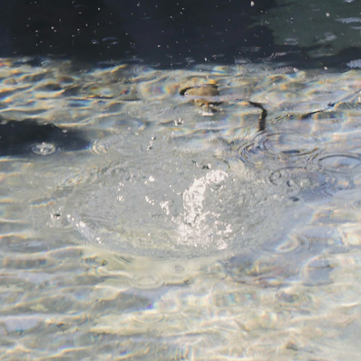 背景图
Cr: 【亘年漫日】