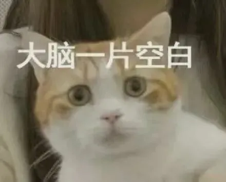 猫咪emoji