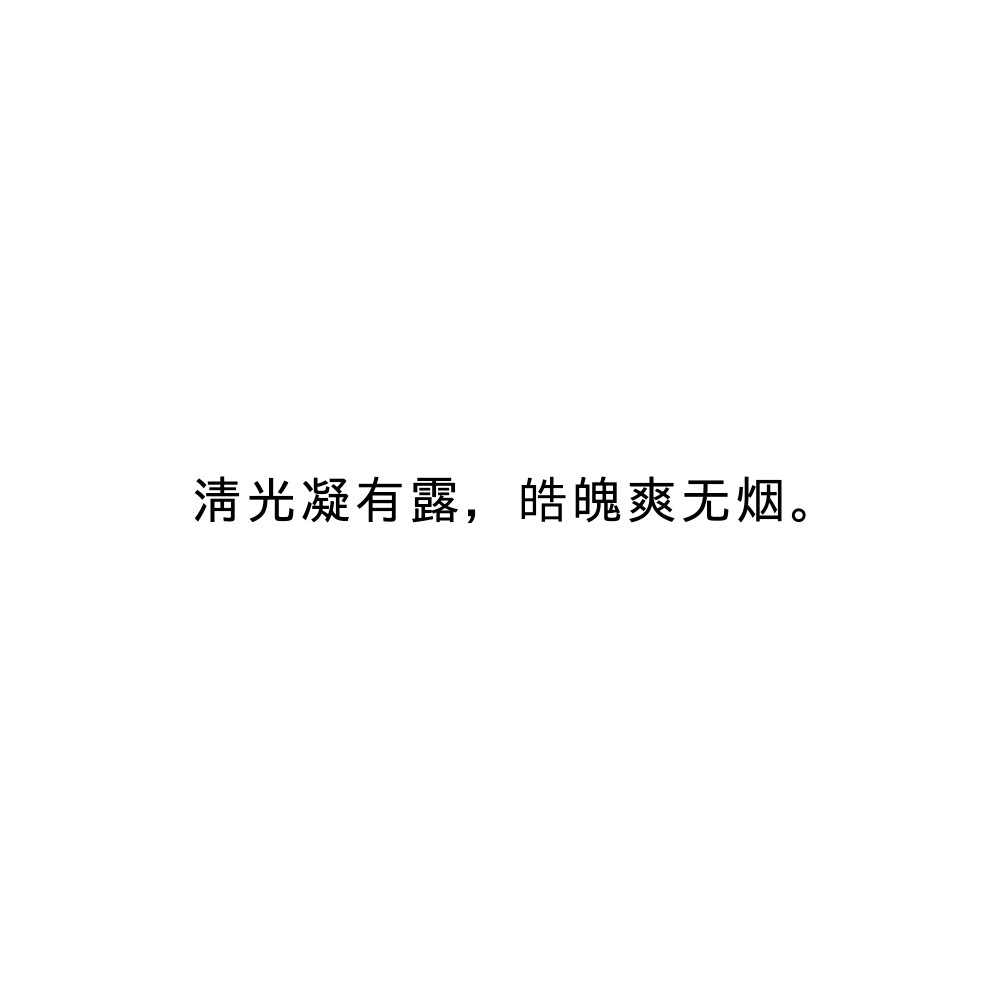 栖白·唐