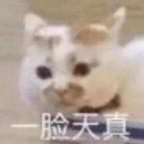 猫咪emoji