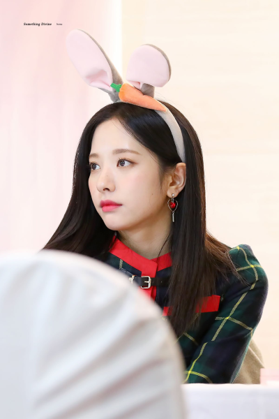 苞娜
SD_BONA