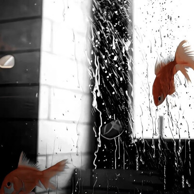 氛围感背景图
Cr: 【·黃油蘇餅·】