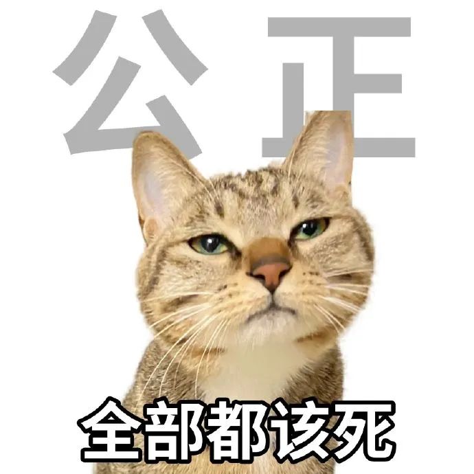 猫猫表情包