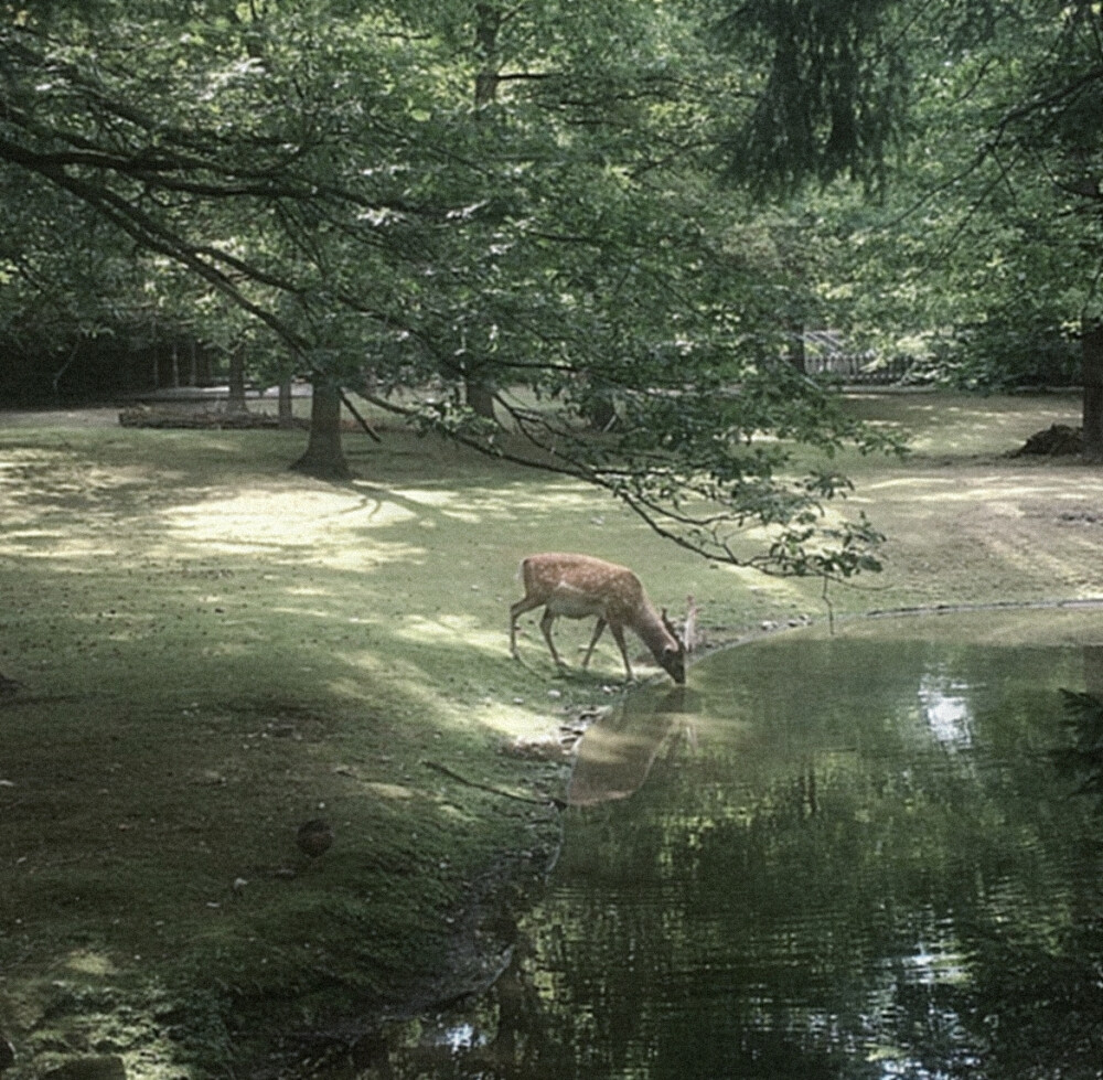  ＃Have you found me？