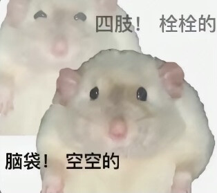 #发疯文学
