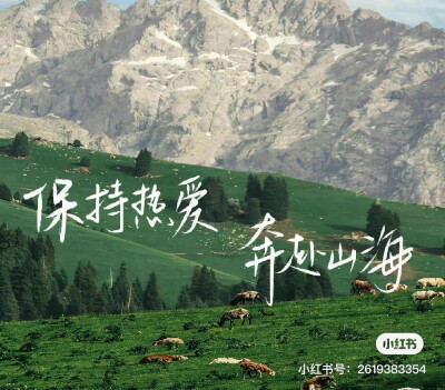 微信背景