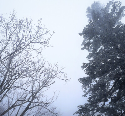 雪地里相爱 他们说零下已结晶的誓言不会坏