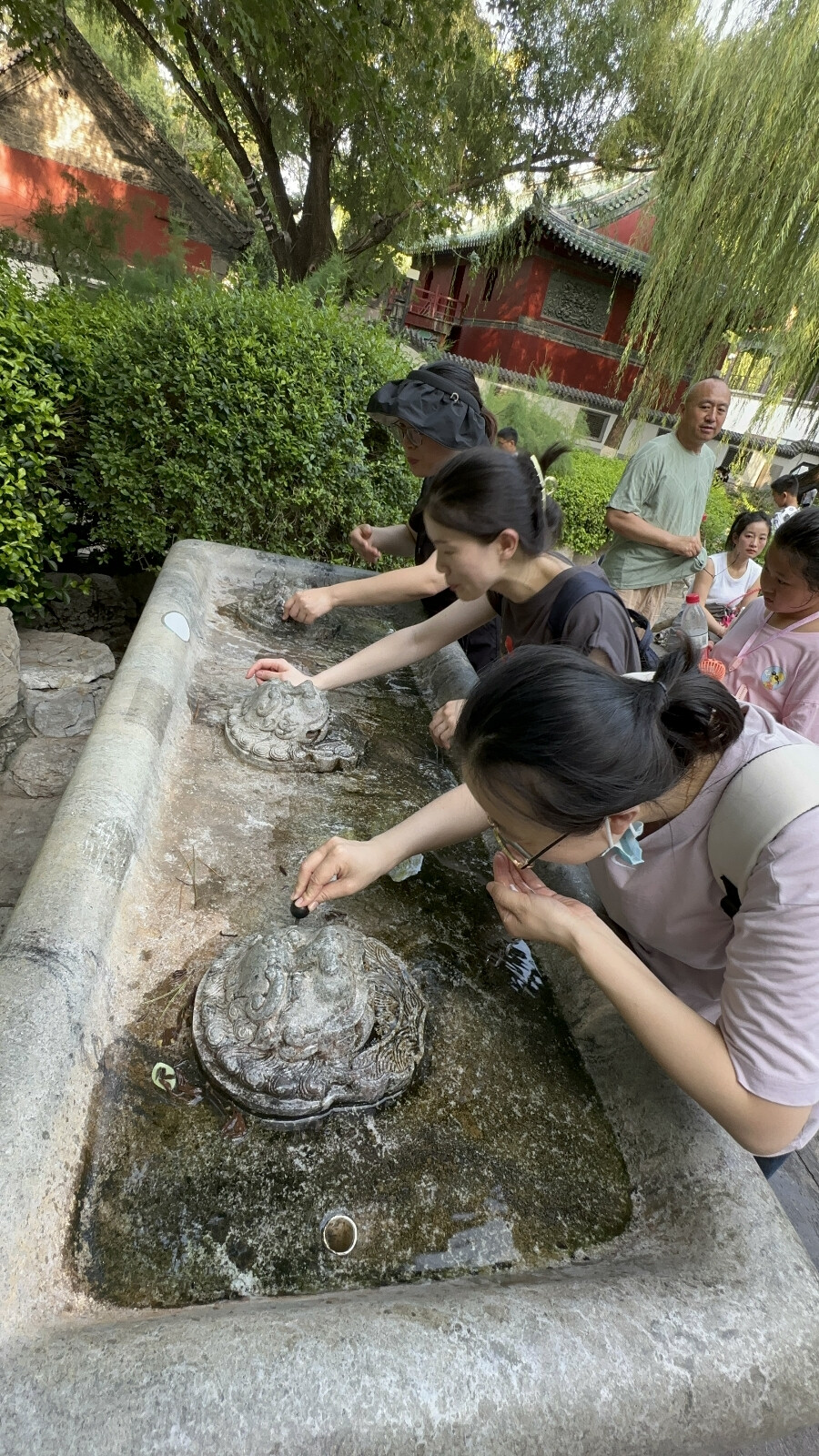 高清图片,堆糖,美图壁纸兴趣社区