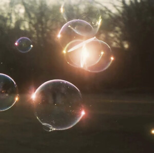 怦然心动（壁纸、背景）