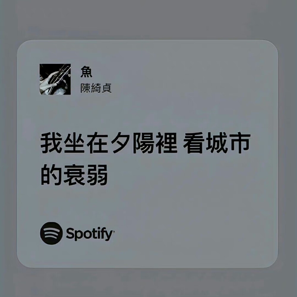 很多時(shí)候她都會(huì)用這種悲憫的痛苦的或是乞求的目光看她，眼淚成為睫毛的累贅。蝴蝶在雨天沈甸甸墜落揮不動(dòng)翅膀，摔在爛泥地，玫瑰花瓣一片片打落調(diào)零和她一起腐朽，不過蓋上短暫的美麗的皮囊。