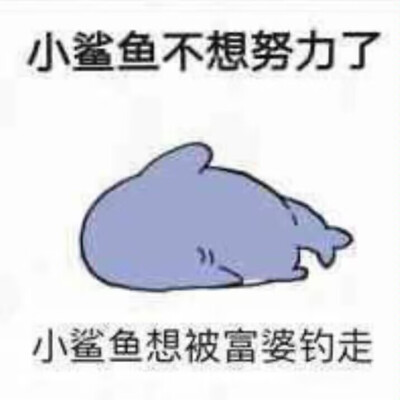 小鲨鱼表情包