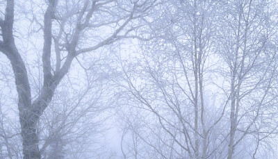 雪地里相爱 他们说零下已结晶的誓言不会坏