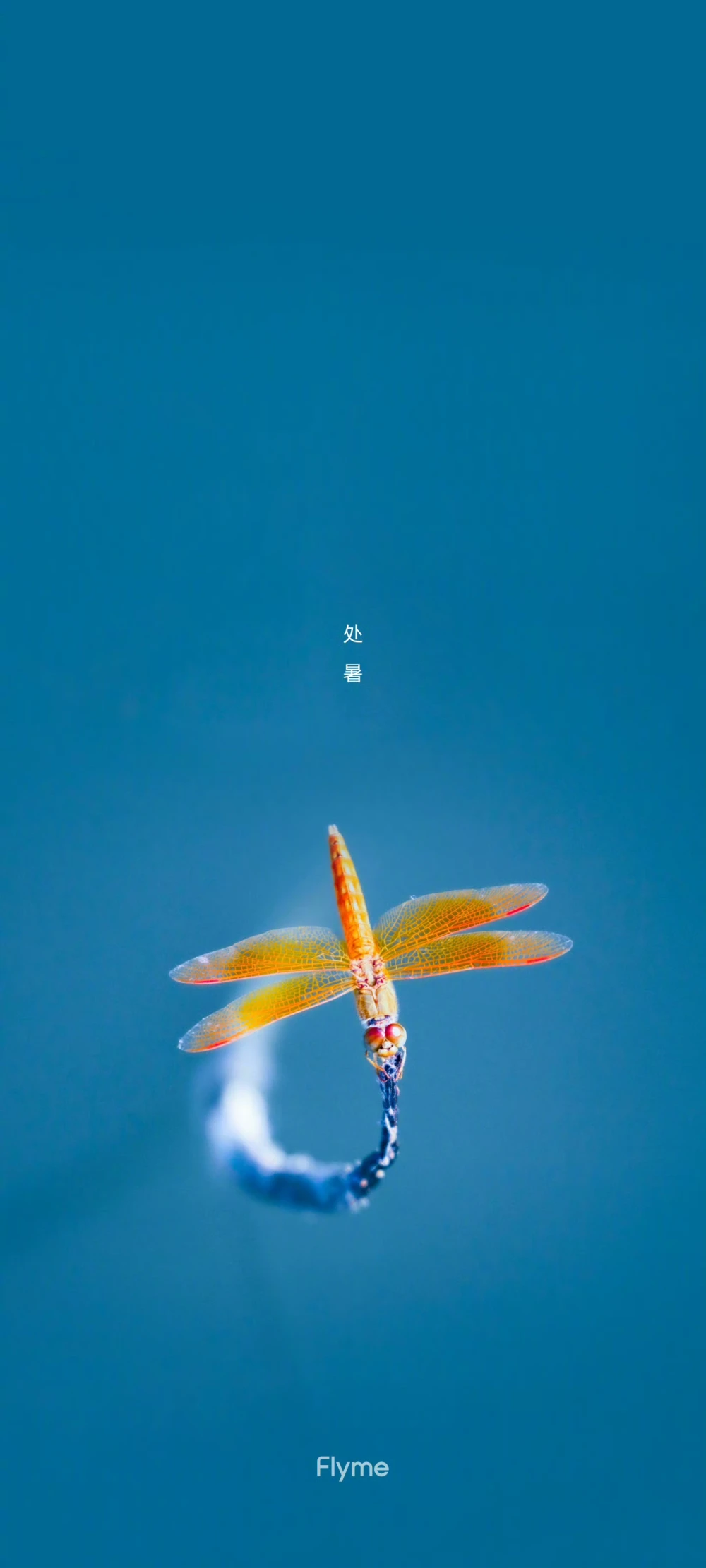 魅族flyme 24节气壁纸