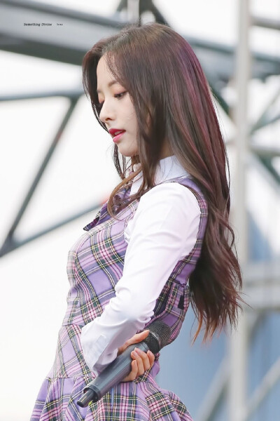 苞娜标SD_BONA