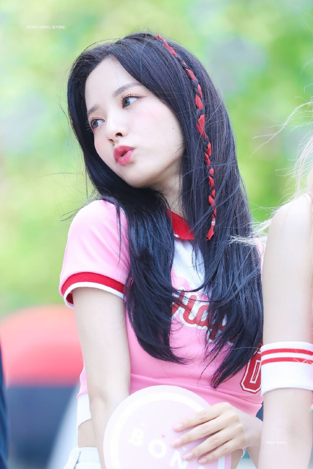 苞娜标SD_BONA