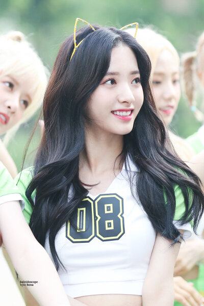 苞娜标SD_BONA