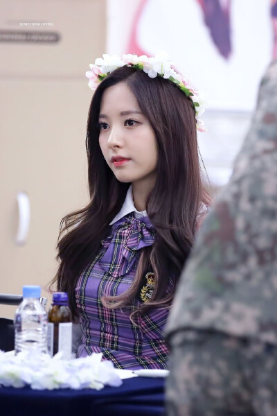 苞娜标SD_BONA