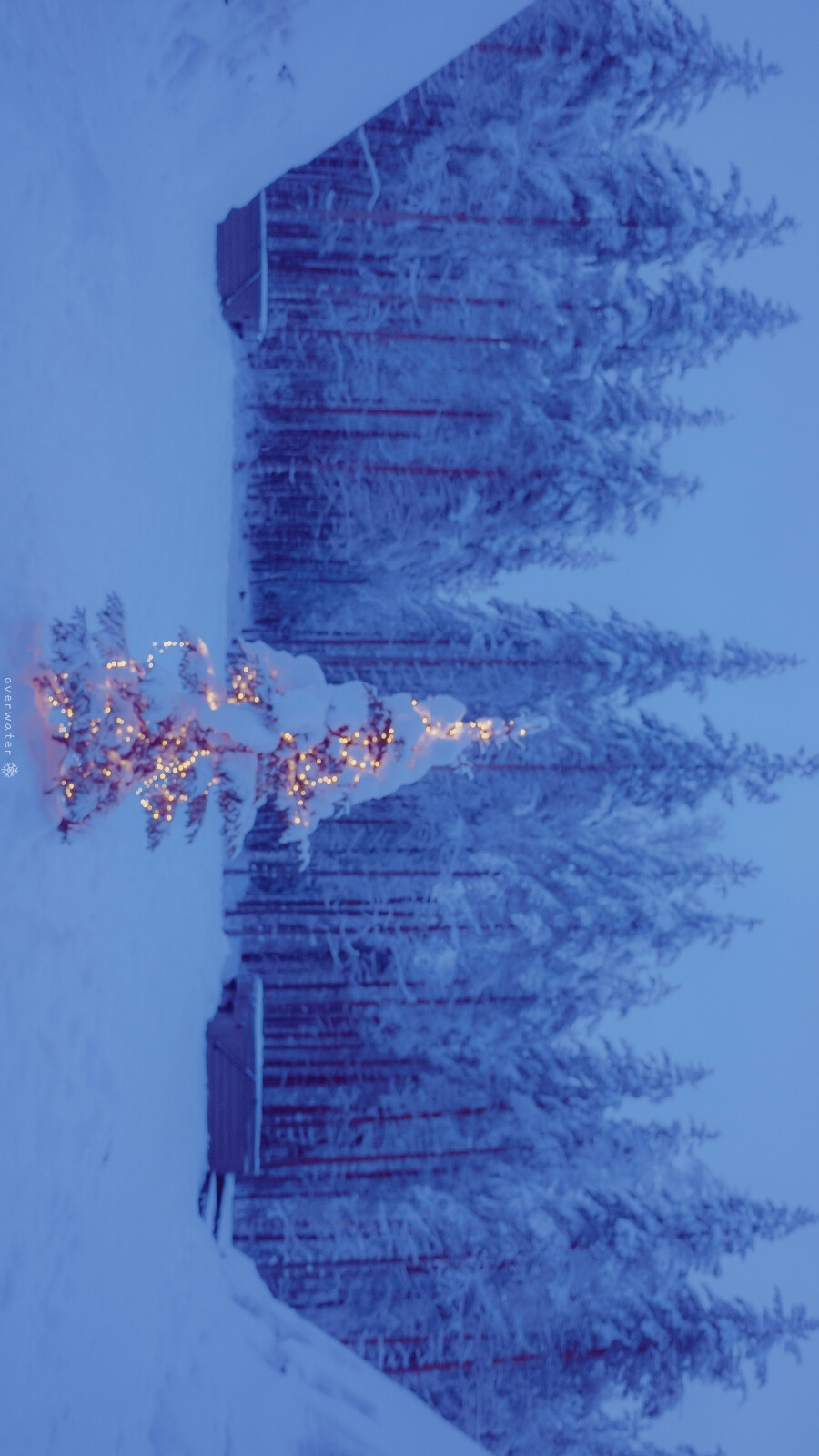 Merry white Xmas
［Finland. 极夜中度过的白色圣诞］
© overwater