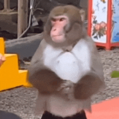 动图表情包 - 高清图片，堆糖，美图壁纸兴趣社区